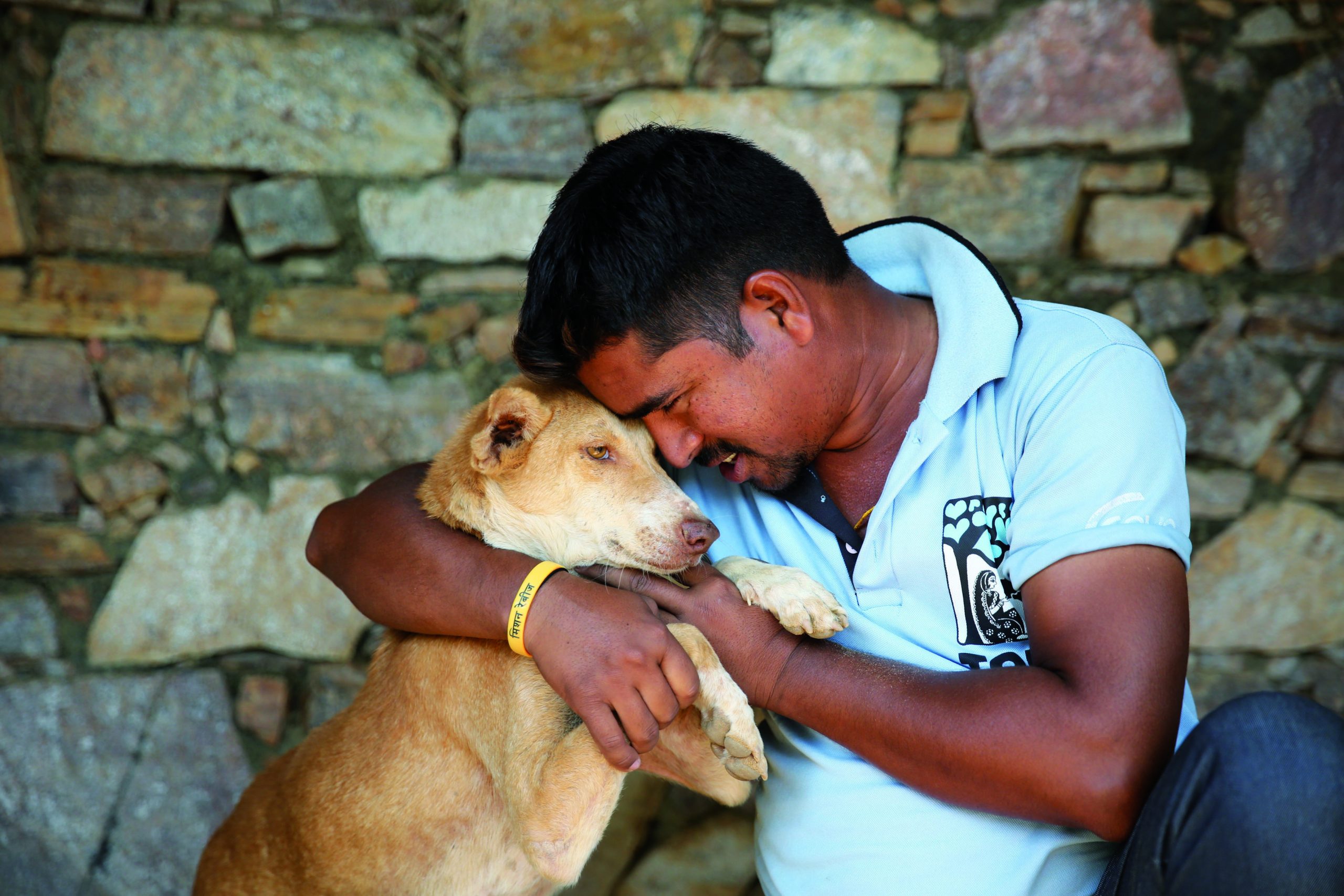 Ceva's continuing support helps Indian animal welfare charity to achieve more - Ceva Ceva's continuing support helps Indian animal welfare charity to achieve more - Ceva