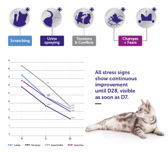 FELIWAY Optimum