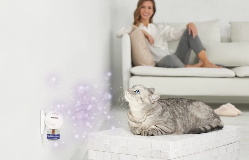 FELIWAY® Optimum, une nouvelle génération de complexes de phéromones qui  calme les chats mieux que jamais - Ceva