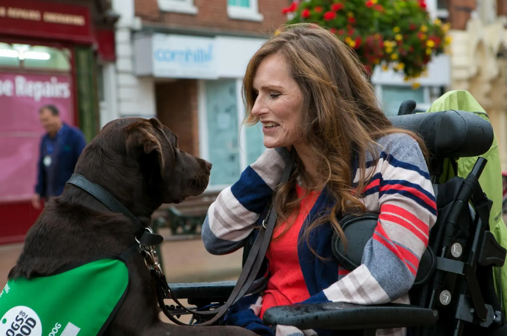 Best dog companion deals for parkinson patients