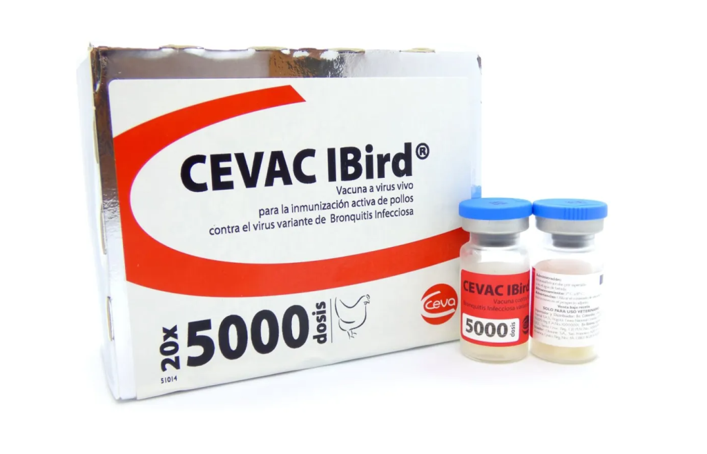 COVID19 and how our experiences from veterinary science can contribute