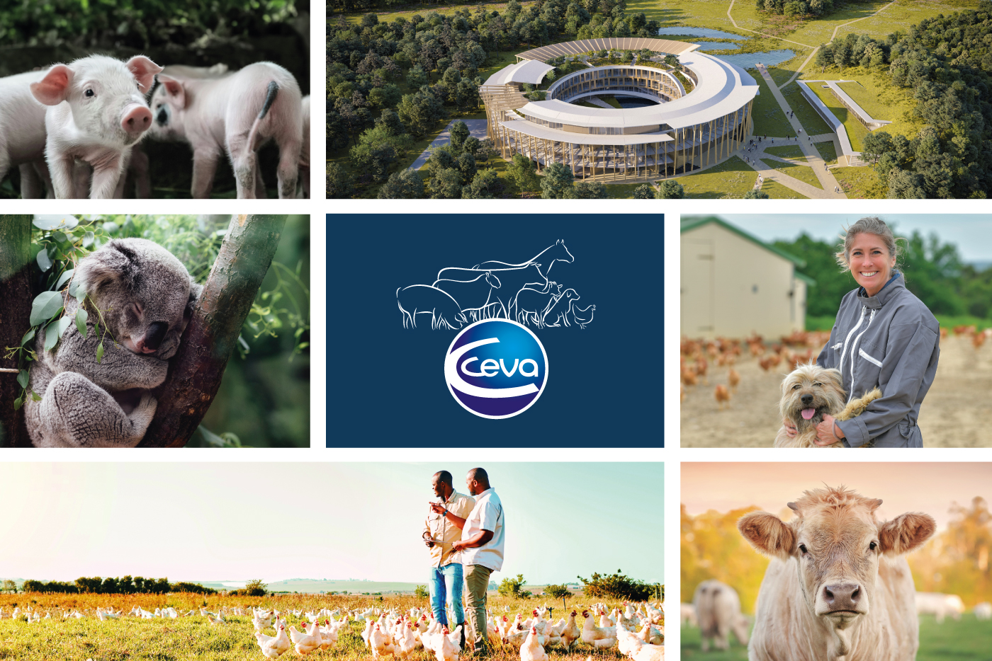 Ceva at a glance - Ceva Santé Animale