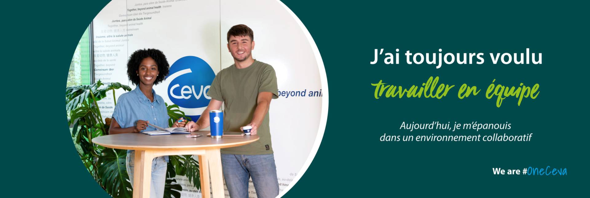 Travailler en équipe