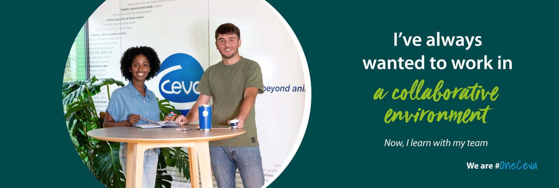 Grow together by working in a collaborative environment