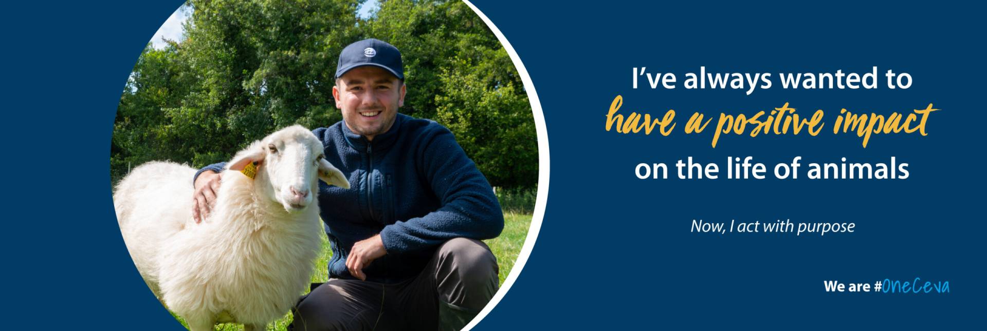 A positive impact on the life of animals